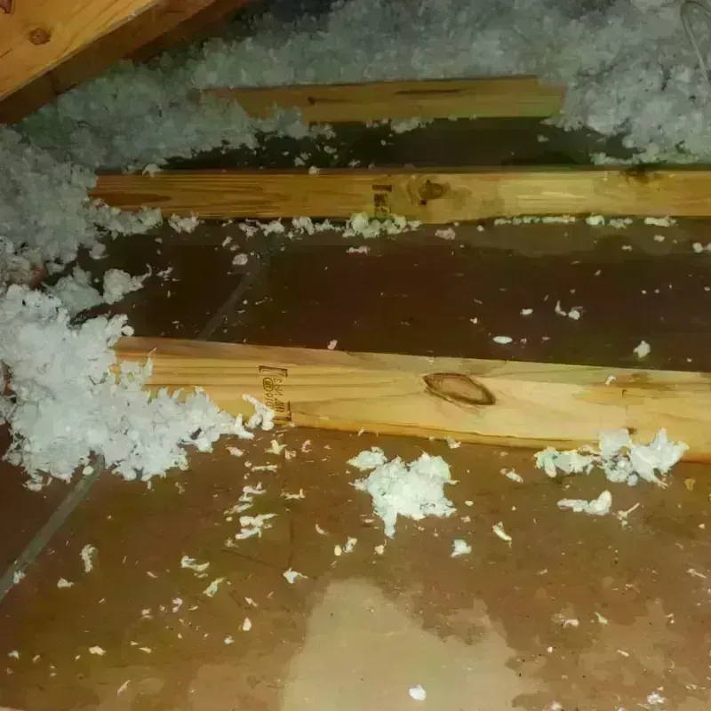 Attic Water Damage in Hallettsville, TX